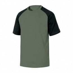 CAMISETA ALGODON...