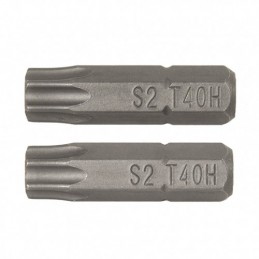 PUNTAS 25MM.TORX SEG.T20...