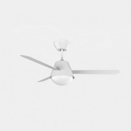VENTILADOR TECHO BURAN...