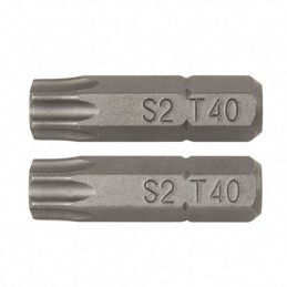 PUNTAS 25MM.TORX Nº.20...