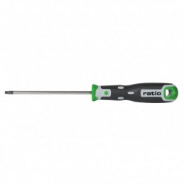 DESTORN.TORX T-20X100 RATIO