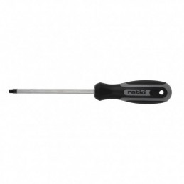 DESTORN.TORX T-30 6X125 RATIO