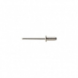 REMACHE INOX. 4,8X12 BRALO...